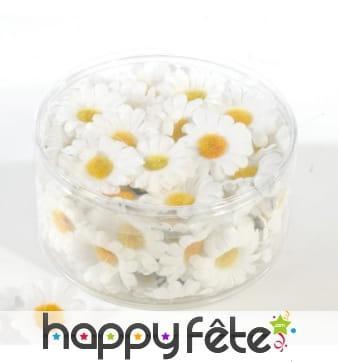 100 marguerites de décoration