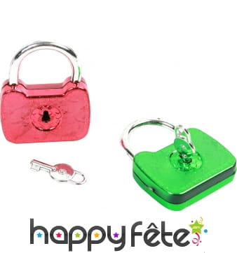 12 porte clefs cadenas