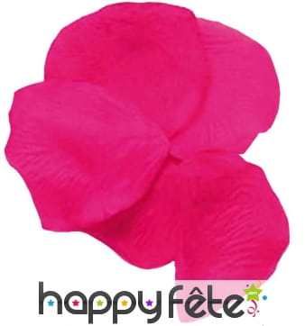 100 pétales de rose fuchsia