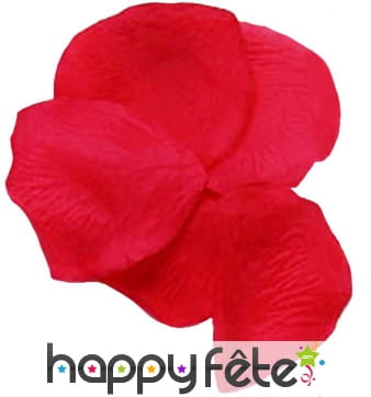 144 pétales de roses rouges