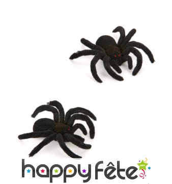 2 Araignées noires poilues de 10cm