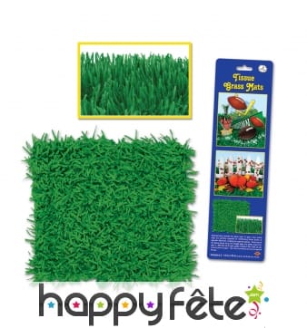 2 plaques de faux gazon de 38 x 76cm