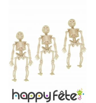 3 squelettes de 12cm à suspendre