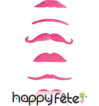 6 moustaches roses