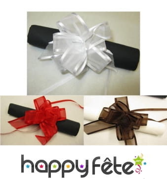 6 noeuds à tirer en organza