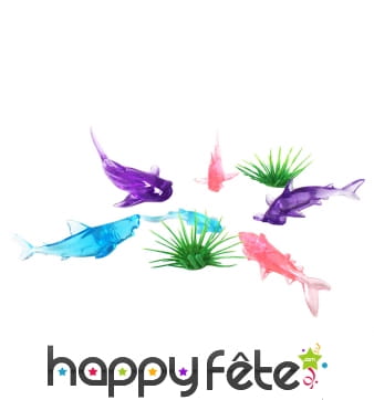 6 petits animaux de la mer transparents