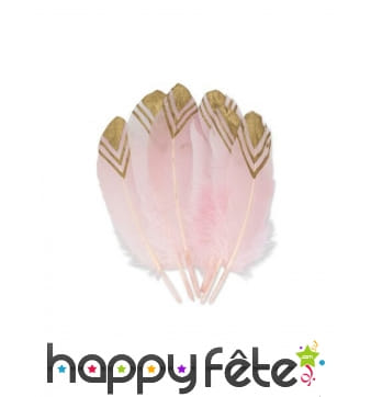 6 Plumes roses bout doré
