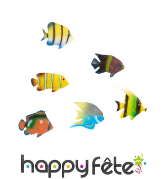 6 poissons tropicaux décoratifs de 6cm