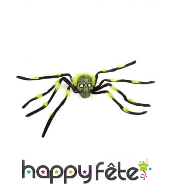 Araignée avec tête de mort de 70cm