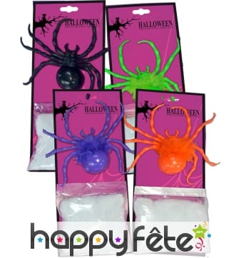 Araignee colorée avec toile