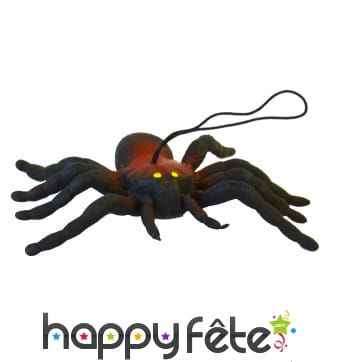 Araignée décorative