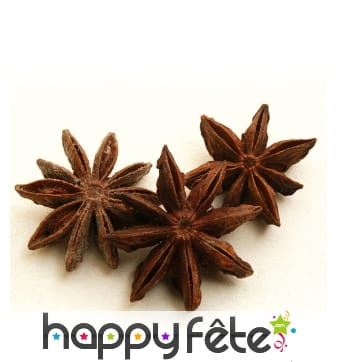 Anis étoilé badiane décoratif, 20gr