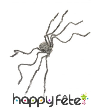 Araignée grise de 160cm