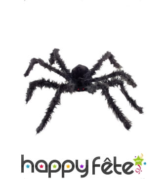 Araignée géante noire