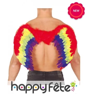 Ailes multicolores de 80 X 50 cm pour adulte