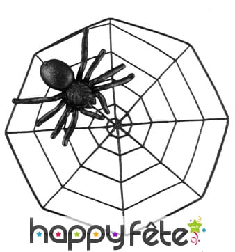 Araignée noire avec paillettes et toile