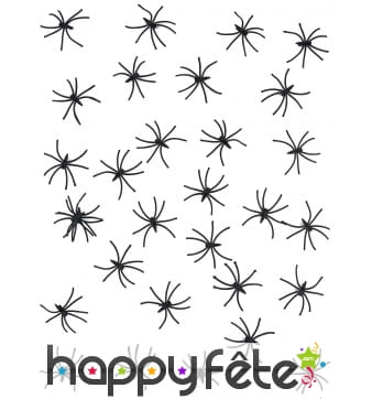 Araignées noires de 2,5cm en plastique