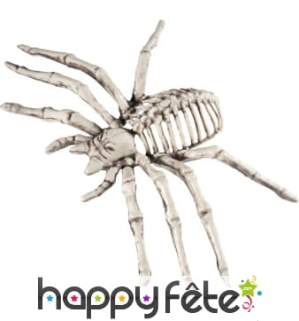 Araignée squelette décorative de 22cm