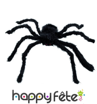 Araignee velue noire