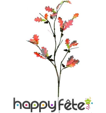 Branche avec feuilles de chêne