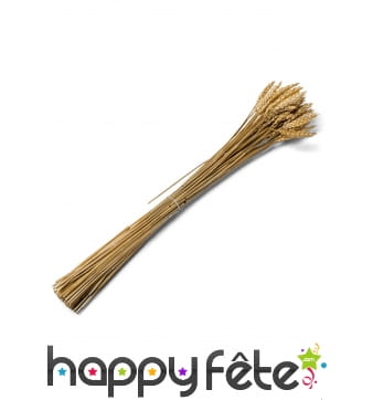 Bouquet de blé de 60cm