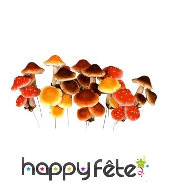 Branche de champignons