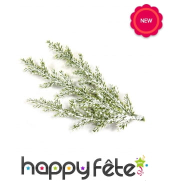 Branches de cyprès enneigées de 10cm