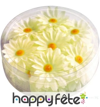 Boite de marguerites