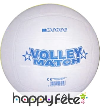 Ballon de volley