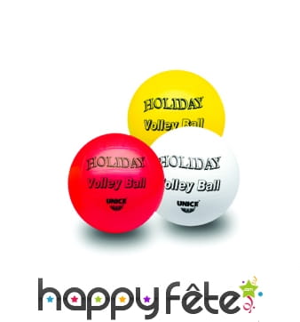 Ballon de volleyball fantaisie