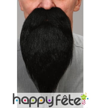 Barbe noire avec moustaches luxe
