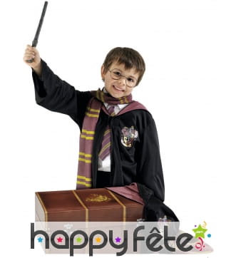 Coffre costume de Harry Potter pour enfant