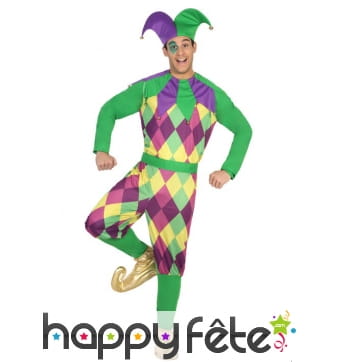 Costume d'arlequin violet vert pour homme