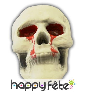 Crâne décoratif avec sang