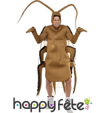 Costume de cafard marron