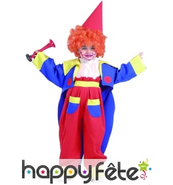 Costume du Clown Bobo