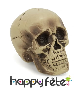 Crâne décoratif en plastique de 18cm