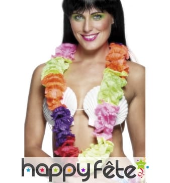 Collier de fleurs hawaien