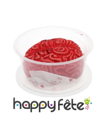 Cerveau rempli de sang dans une boîte