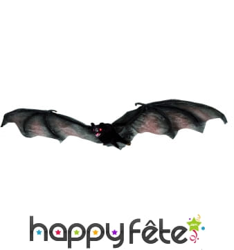 Chauve souris realiste