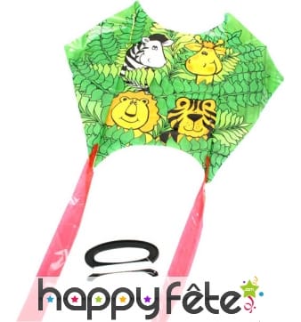 Cerf-volant avec double commande