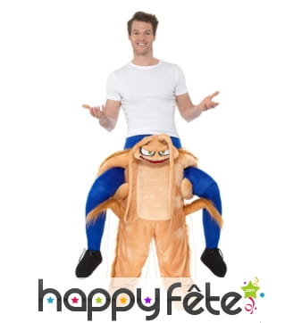 Déguisement à dos de cafard