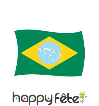 Drapeau Brésil (200x300)