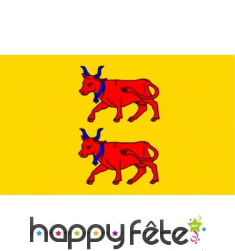Drapeau Bearn (province) (100x150)
