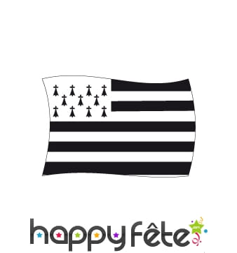 Drapeau Bretagne (province) (100x150)
