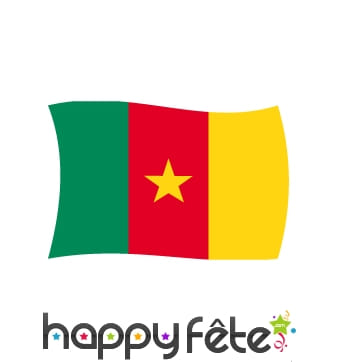 Drapeau Cameroun (100x150)