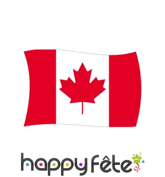 Drapeau Canada (100x150)