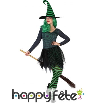Déguisement de sorcière verte toile d'araignée