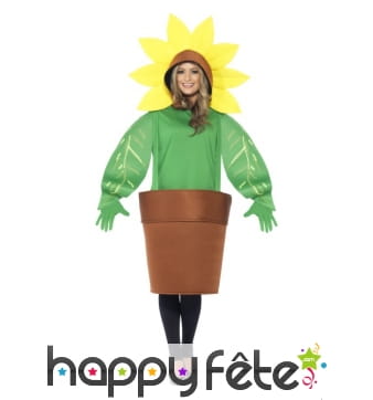 Déguisement de Tournesol