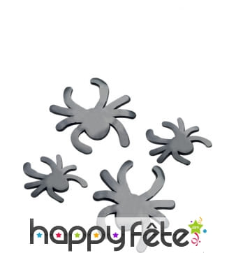 Décoration fenêtres araignées